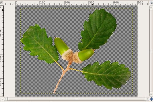 Resultado final: hoja con fondo transparente