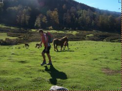 Persona paseando en el monte en día soleado y con sombra proyectada en la hierba
